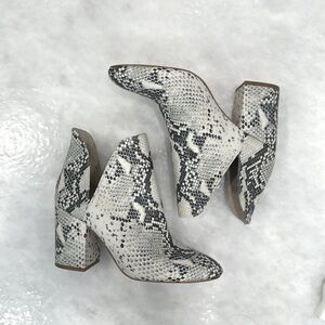 Womens Steve Madden Rookie Snake Print Ankle Bootie Size 9.5 🖤🤍
